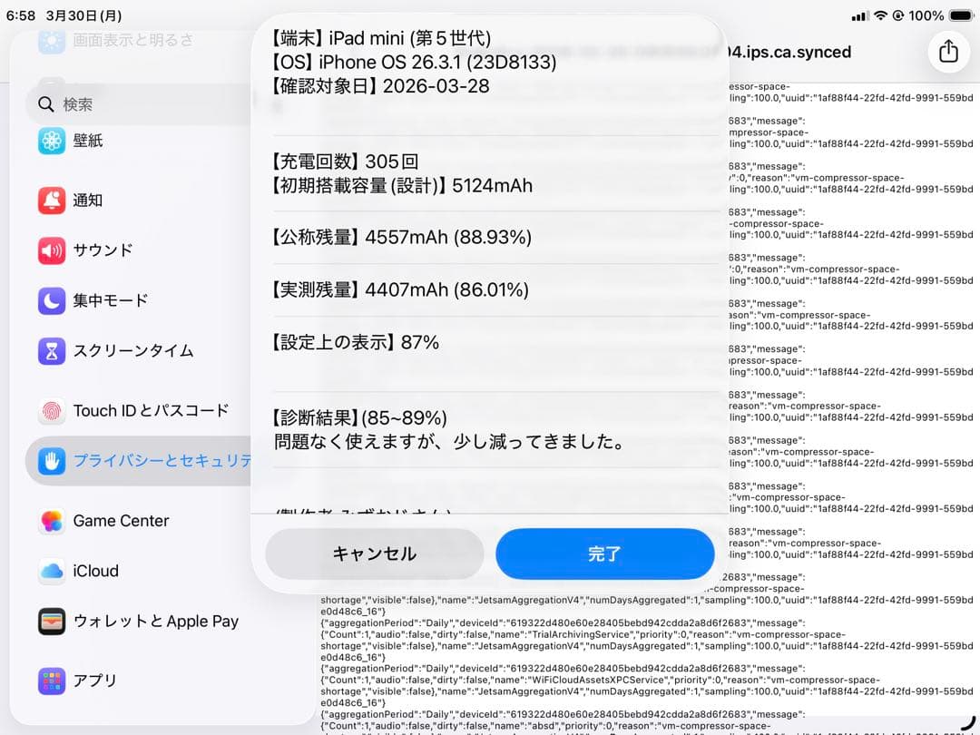 iPad Mini 5 セルラー　64GB おまけ付き