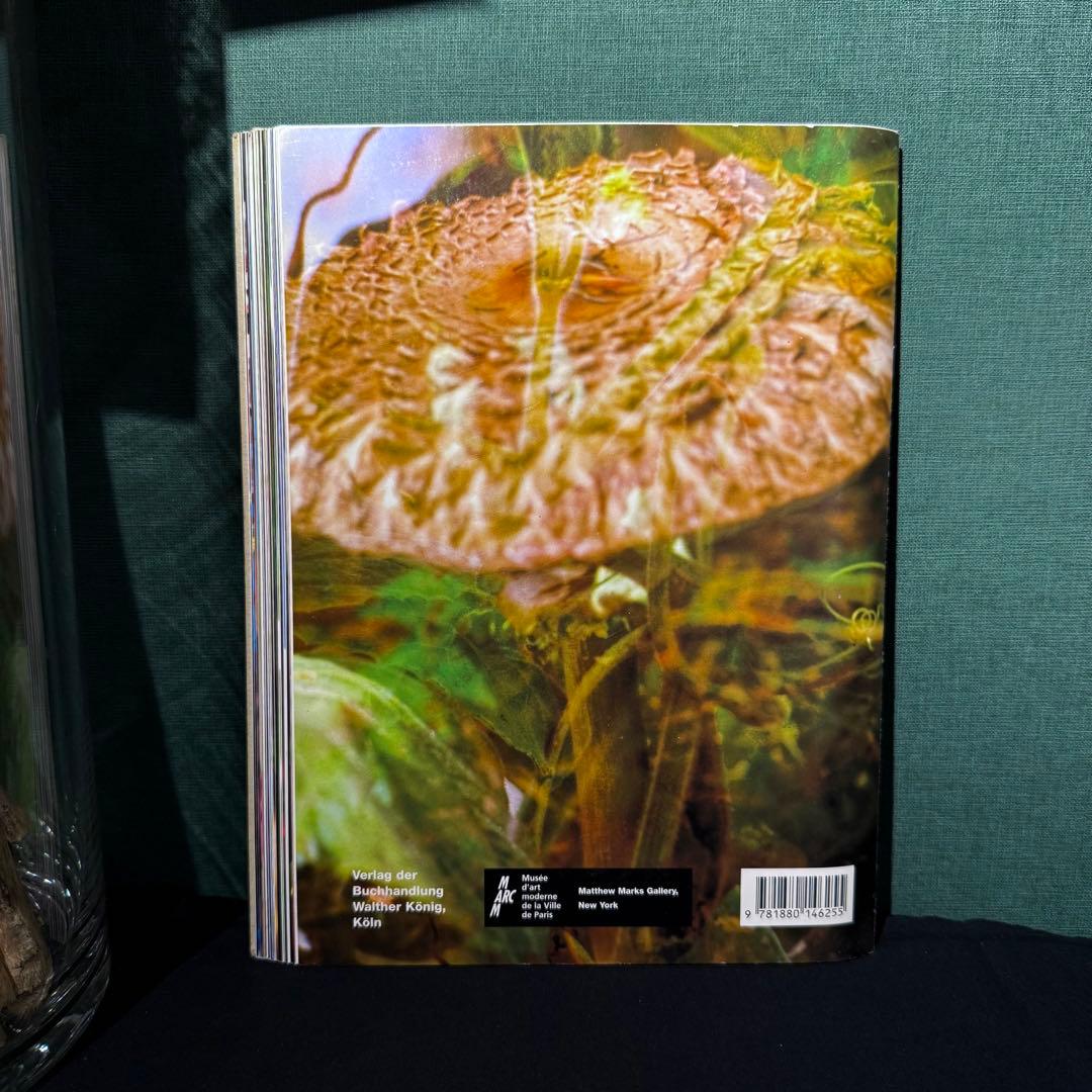 1999年発行 Peter Fischli David Weiss