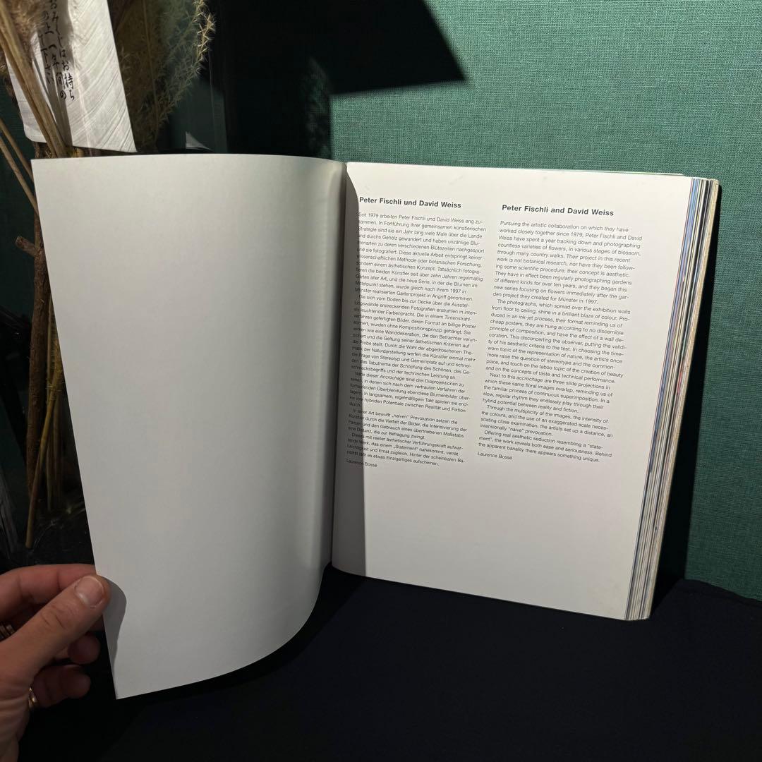 1999年発行 Peter Fischli David Weiss
