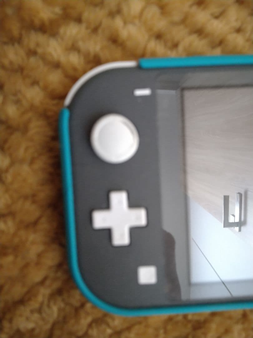 Nintendo Switch Lite 本体 箱 & カバー付き