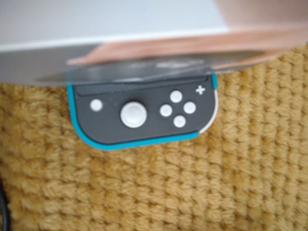 Nintendo Switch Lite 本体 箱 & カバー付き