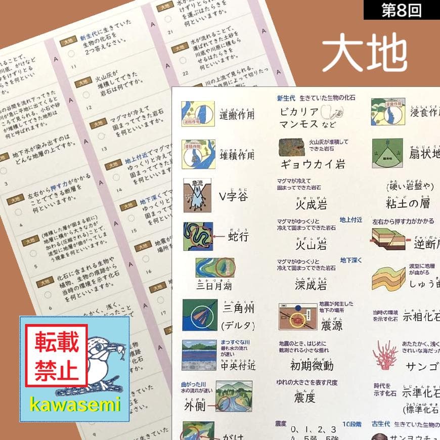 カット済☆最新版【中学受験】理科の基本事項 暗記カード フルセット 早稲アカb