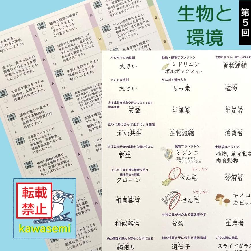 カット済☆最新版【中学受験】理科の基本事項 暗記カード フルセット 早稲アカb