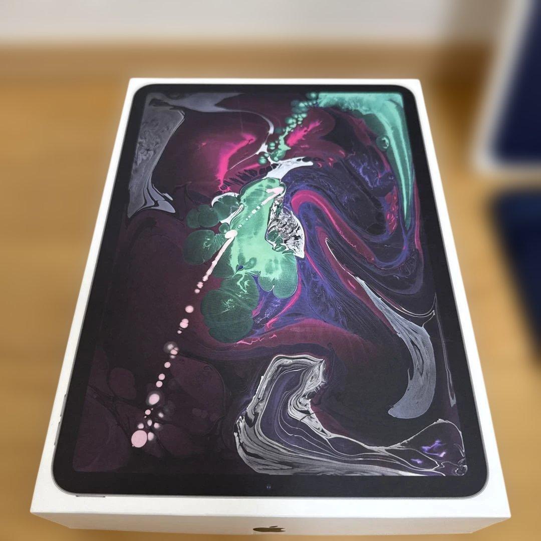 iPad Pro 11インチ 第1世代 64GB スペースグレーとレザーケース