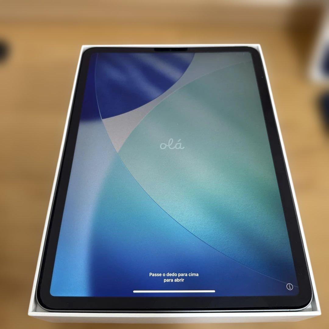 iPad Pro 11インチ 第1世代 64GB スペースグレーとレザーケース