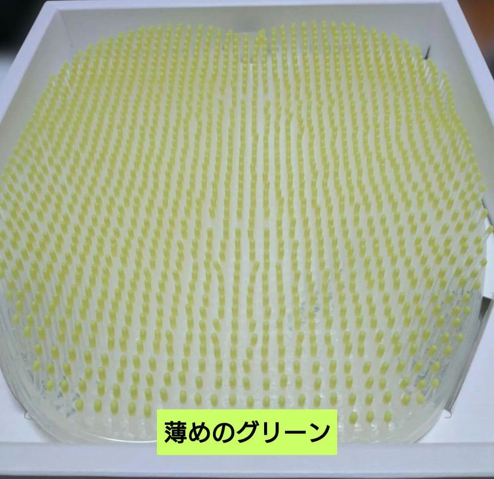 新品未使用　フットグルーマー　グラン 足裏　グリーン