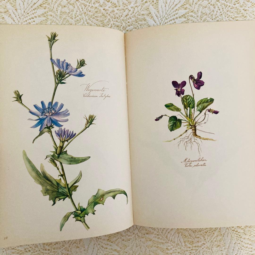 希少なヴィンテージ植物図鑑2巻セット　繊細で美しい植物画300点　洋書・古書