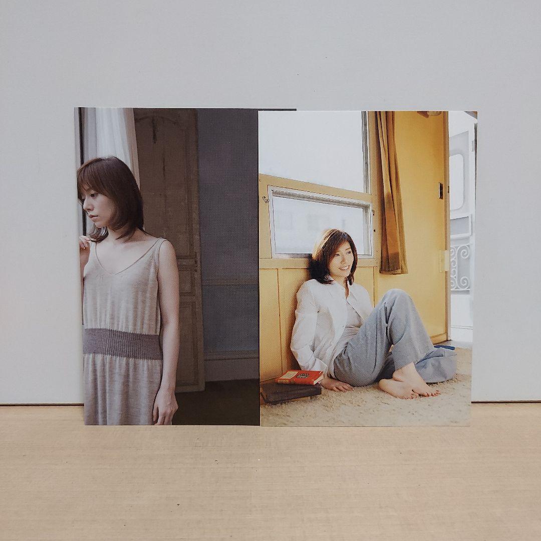 柴田淳　DVD 7枚セット