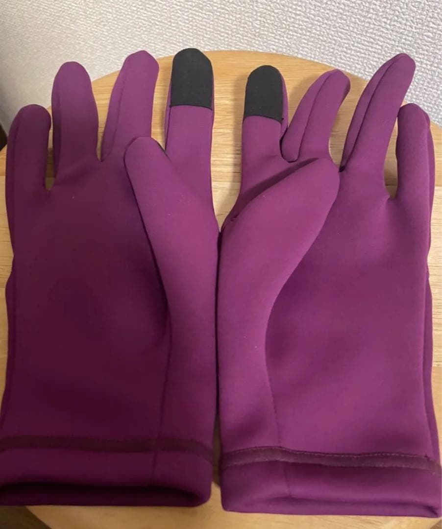 Supreme WINDSTOPPER gloves S/M シュプリーム