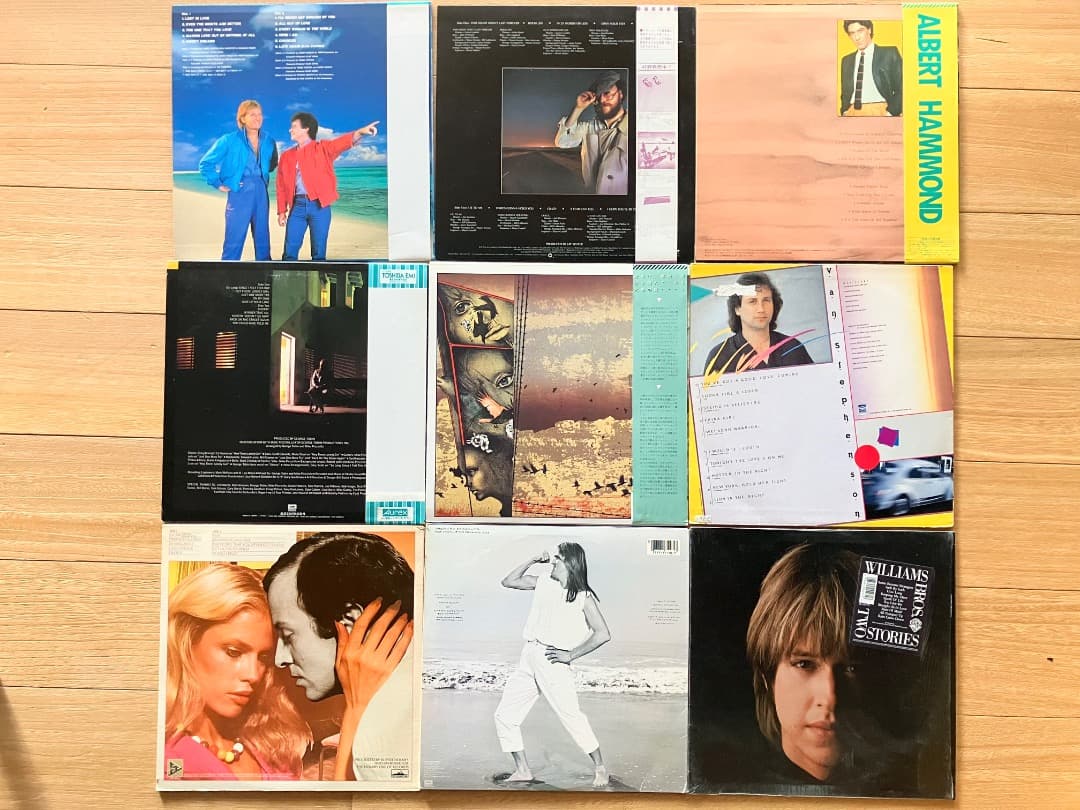 ビル・ラバウンティ、デイヴィッド・ラズリー他 80年代AOR LP9作品セット
