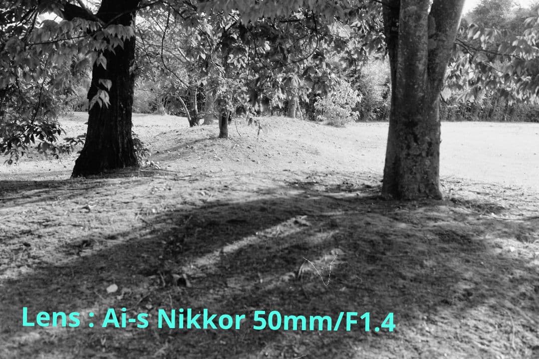 ニコン　一眼レフ　Nikon FG-20 完動品