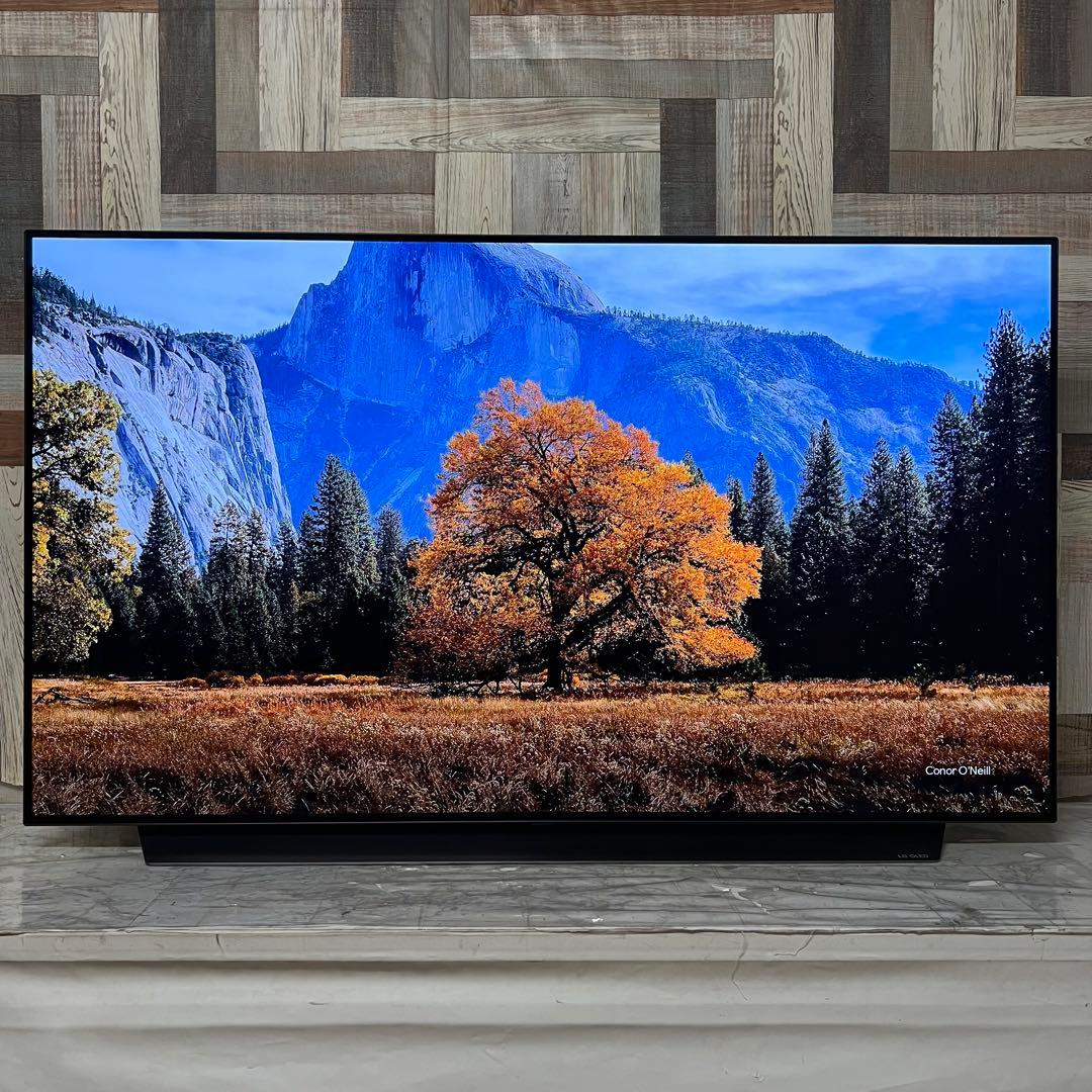 Ryu さん専用LG55型4K有機EL YouTube NETFLIX視聴