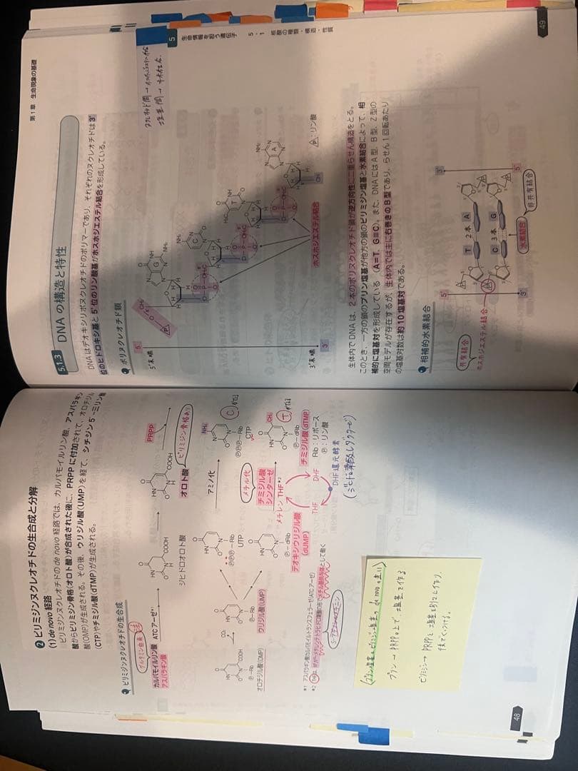 薬ゼミ　要点集