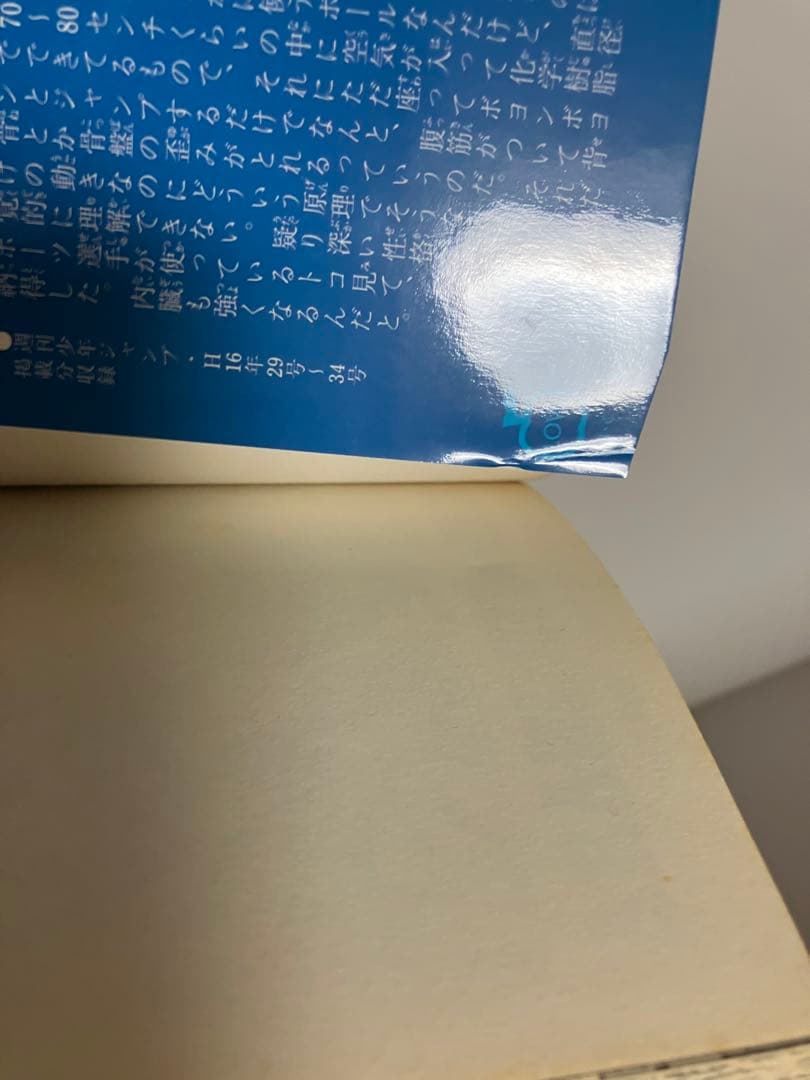 ジョジョの奇妙な冒険　スティールボールラン 24 全巻