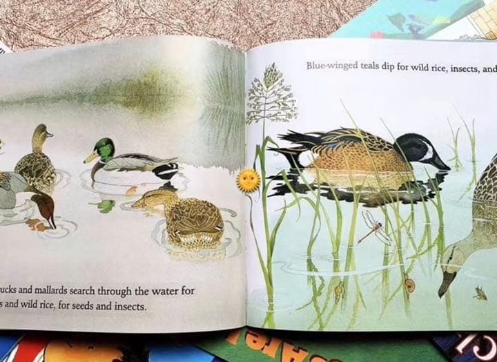 絵本・児童書 Let's read and find out science Stage 1