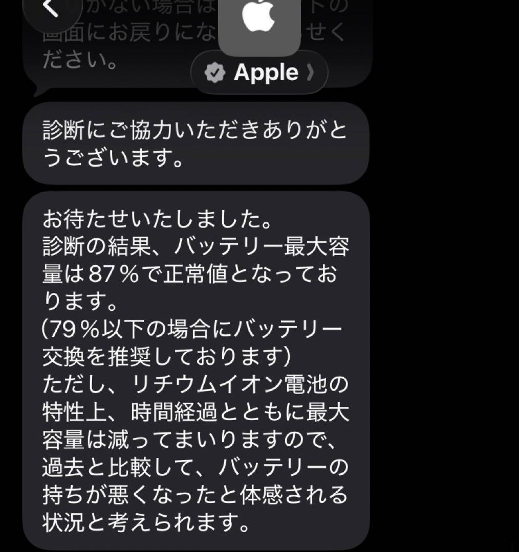 Apple iPad Pro 12.9 第3世代 Cellular 256GB