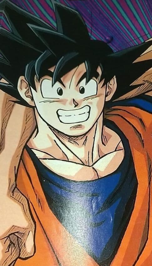 少年ジャンプ 切抜き 1995年 春東映アニメフェア 孫悟空 桜木花道 鳥山明