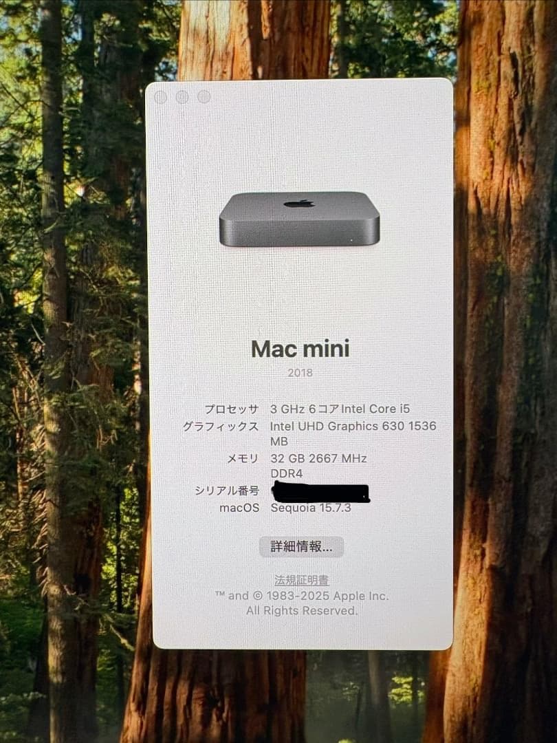 【美品】Mac mini 2018 メモリ32GB 500GB