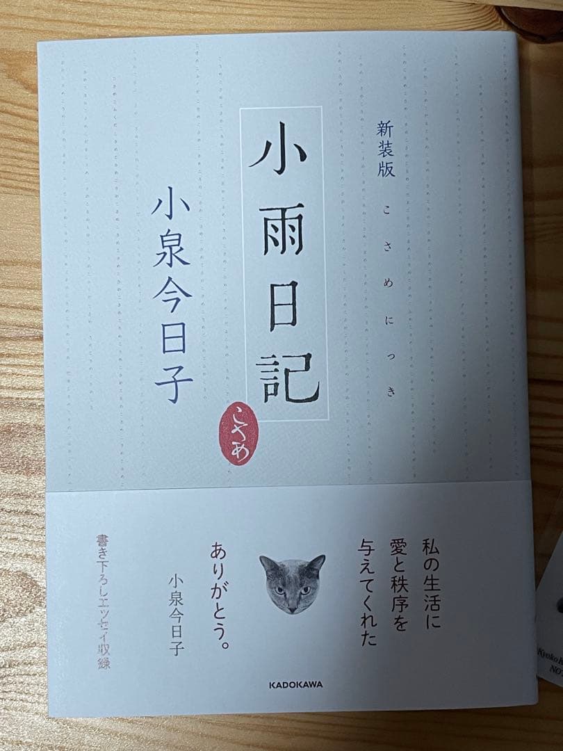 最新刊　小泉今日子　非売品しおり　直筆サイン入り　小雨日記