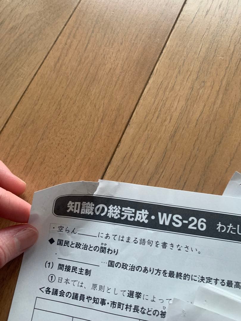 サピックス　6年社会　知識の総完成 解答・問題（未使用）⚫　2024︎年　欠番有