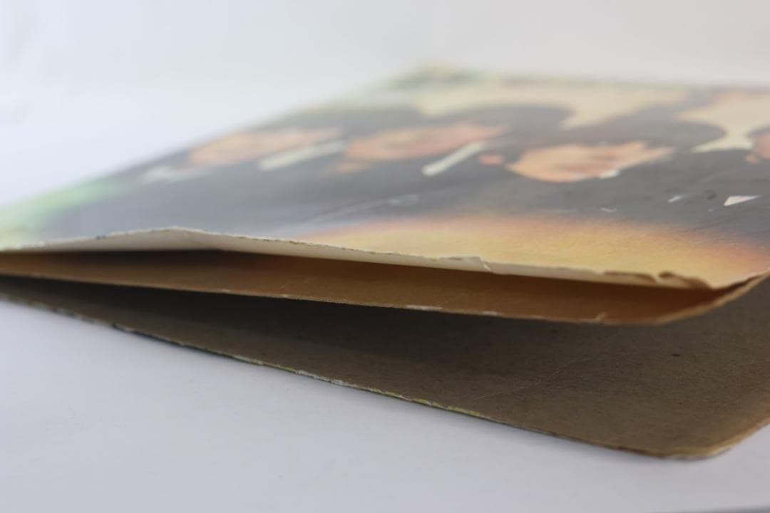 独LP The Beatles For Sale ドイツ盤Stereo ジャケ悪