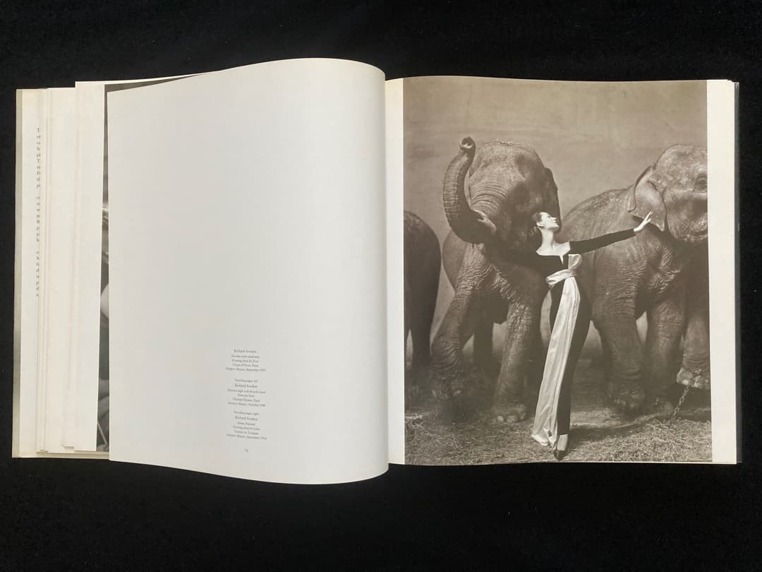 超一流写真家の作品を集めた超レア大型写真集「APPERANCES」美品