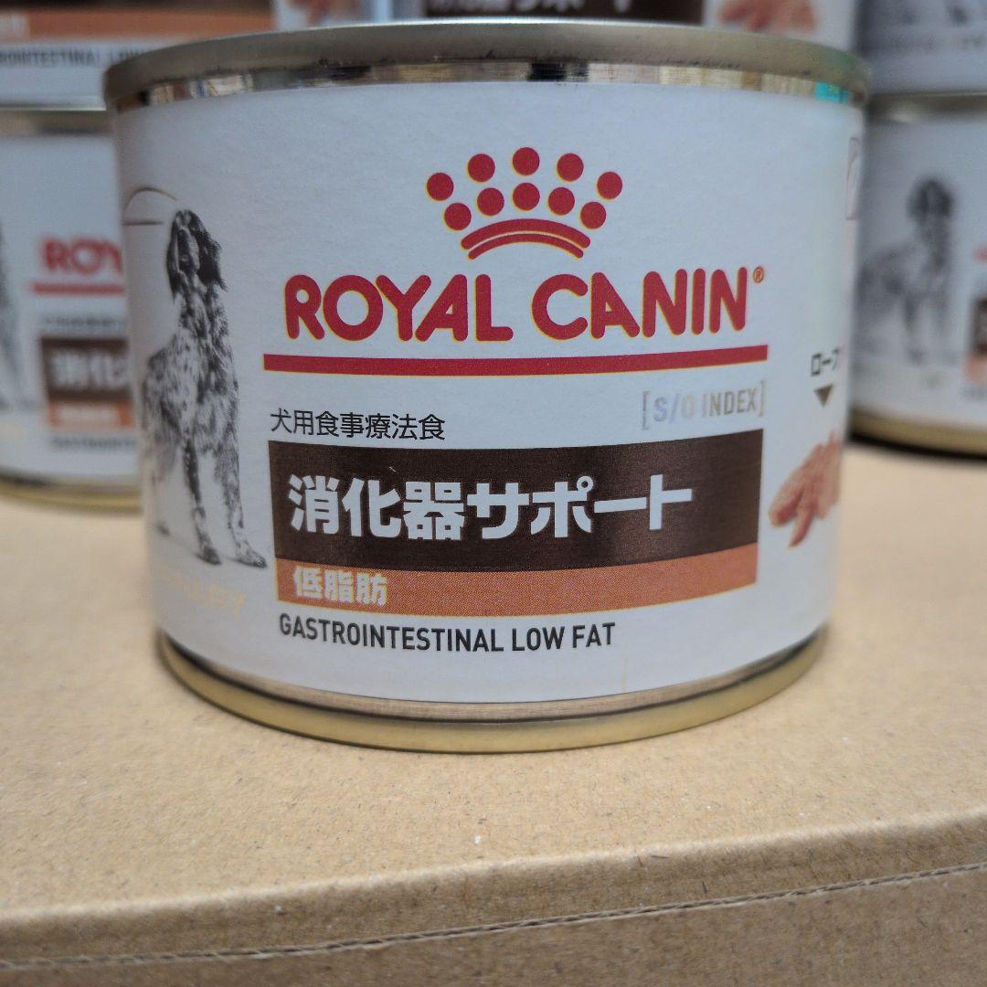  CANIN 消化器サポート 低脂肪12缶＋1缶おまけ付き