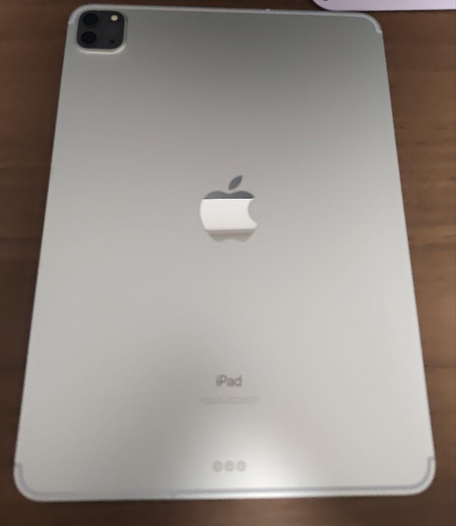 iPad Pro 11インチ 第2世代 128GB シルバー セルラー au