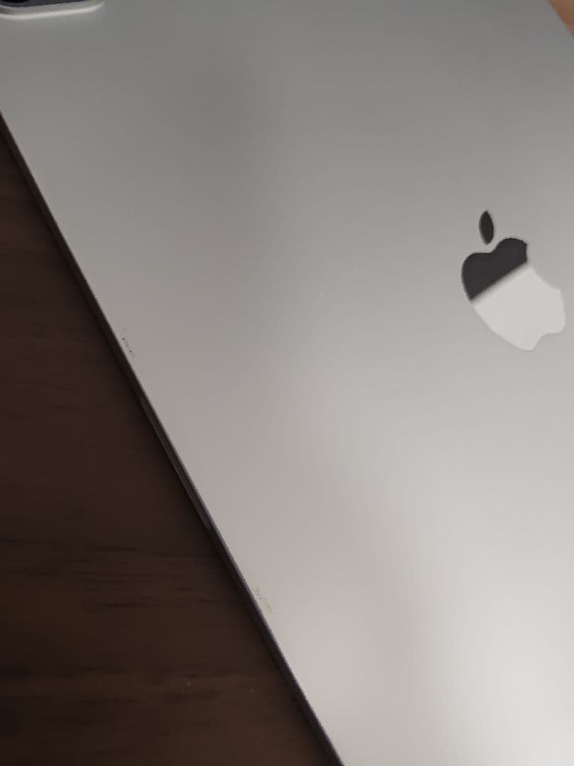 iPad Pro 11インチ 第2世代 128GB シルバー セルラー au