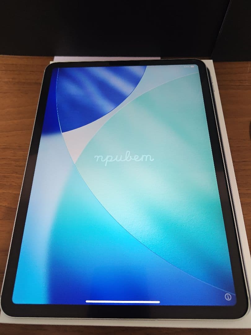 iPad Pro 11インチ 第2世代 128GB シルバー セルラー au
