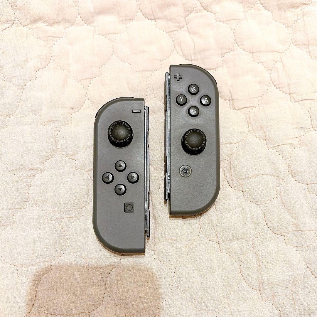 Nintendo Switch スウィッチ 本体 グレー ケース付き