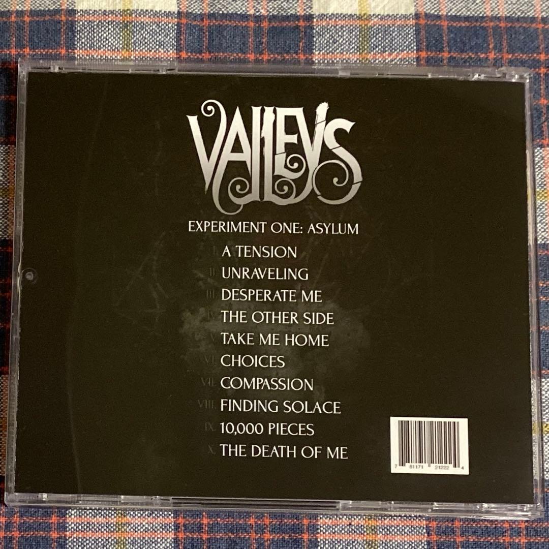VALLEYS メタルコア
