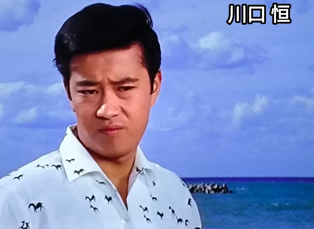 昭和の名作ライブラリー 第57集 ある日わたしは コレクターズDVD HDリマ…
