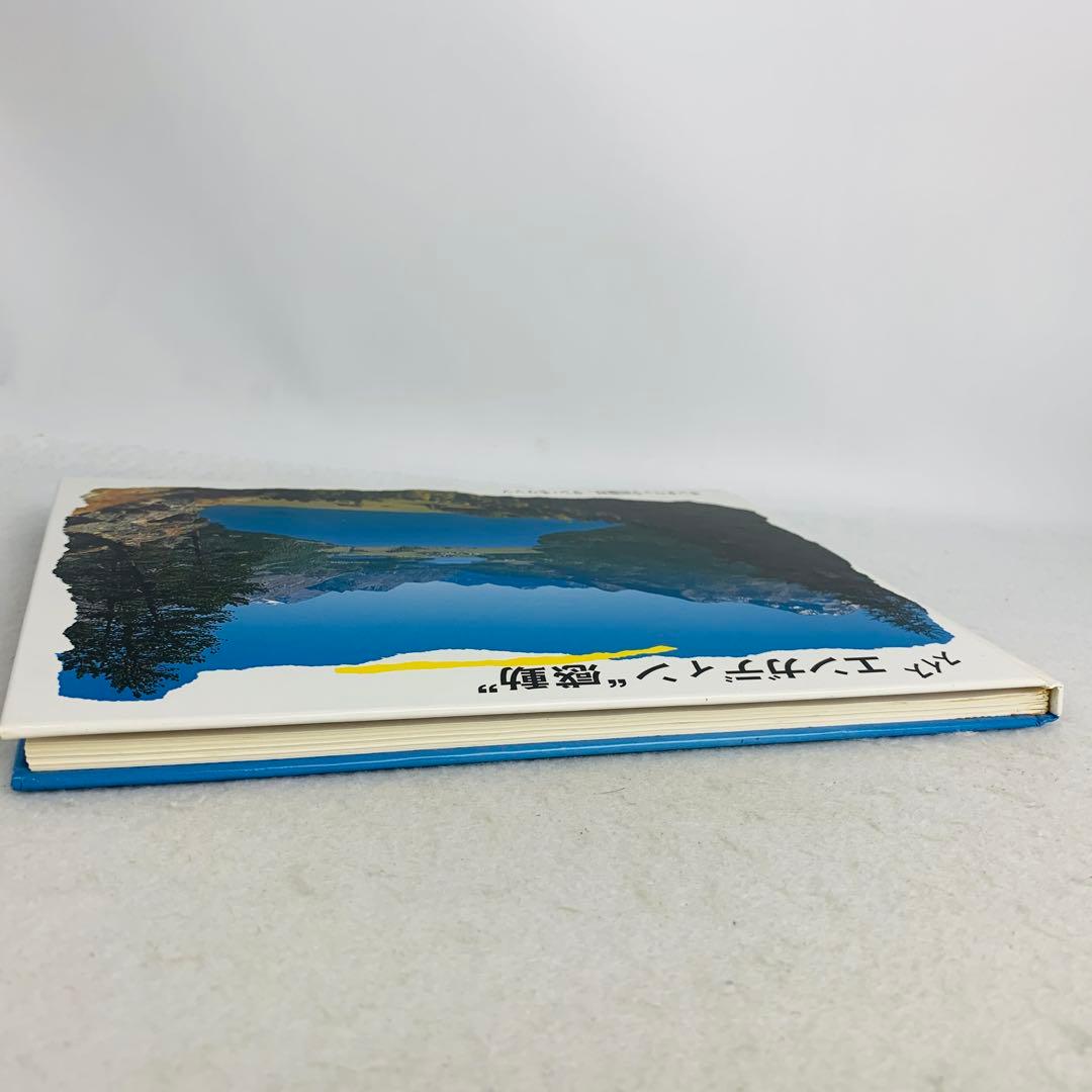希少本　スイス　エンガディン　モンタベッラ　サンモリッツ　感動　氷河急行　古書