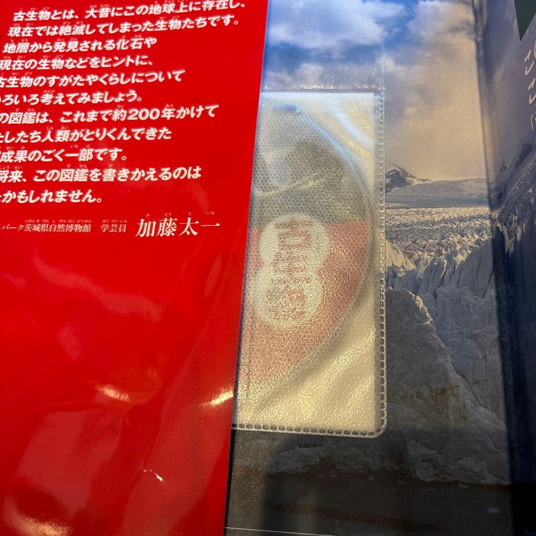 学研の図鑑LIVE 全巻DVD付　全12冊セット　深海生物