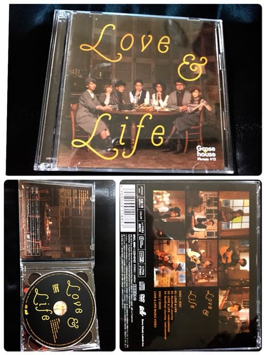 50%引き‼️ house（グースハウス）CD7枚+DVD2枚、計9枚