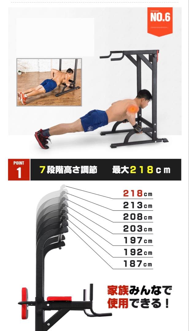 WASAI BS502 ぶら下がり健康器 懸垂マシン