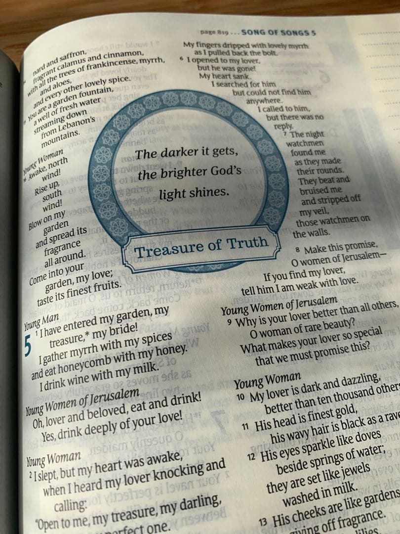 ★週末値下げ【希少品】英語の聖書　NLT Thrive Bible ノート欄付き