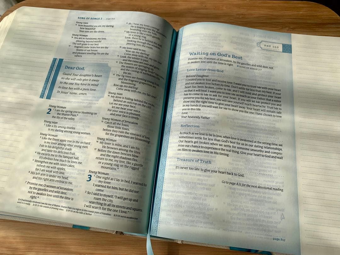 ★週末値下げ【希少品】英語の聖書　NLT Thrive Bible ノート欄付き