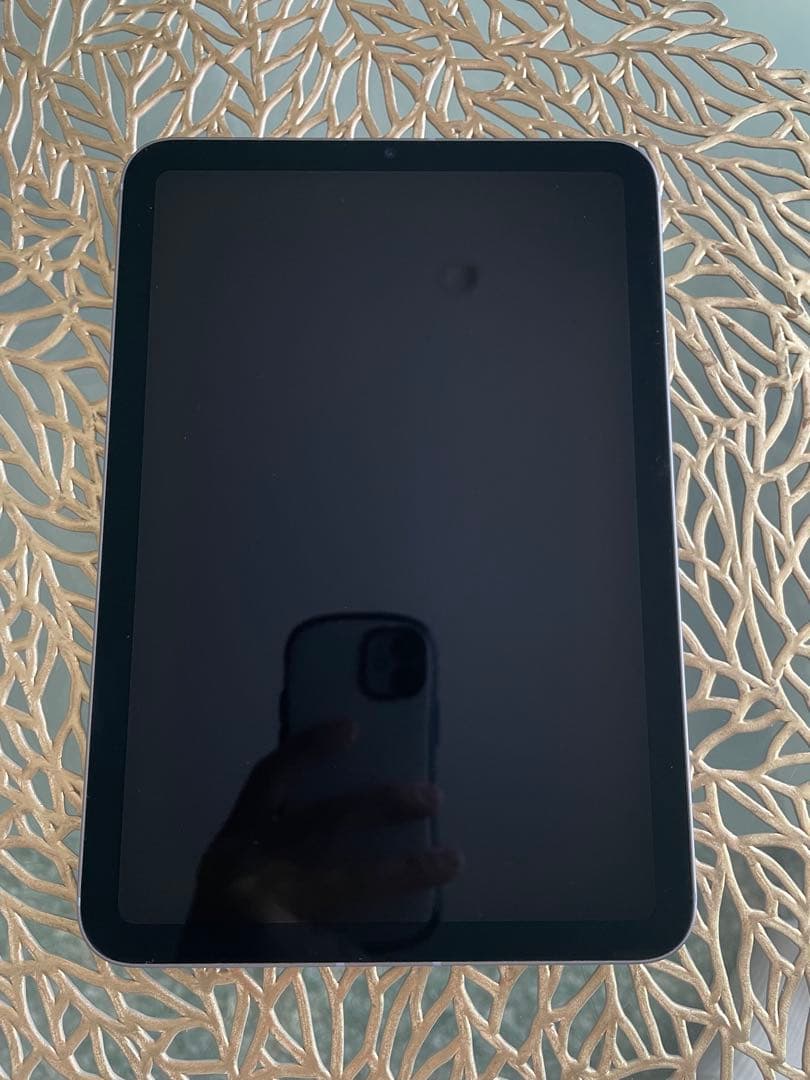 iPad mini 第6世代 256GB Wi-Fi+Cellularジャンク品