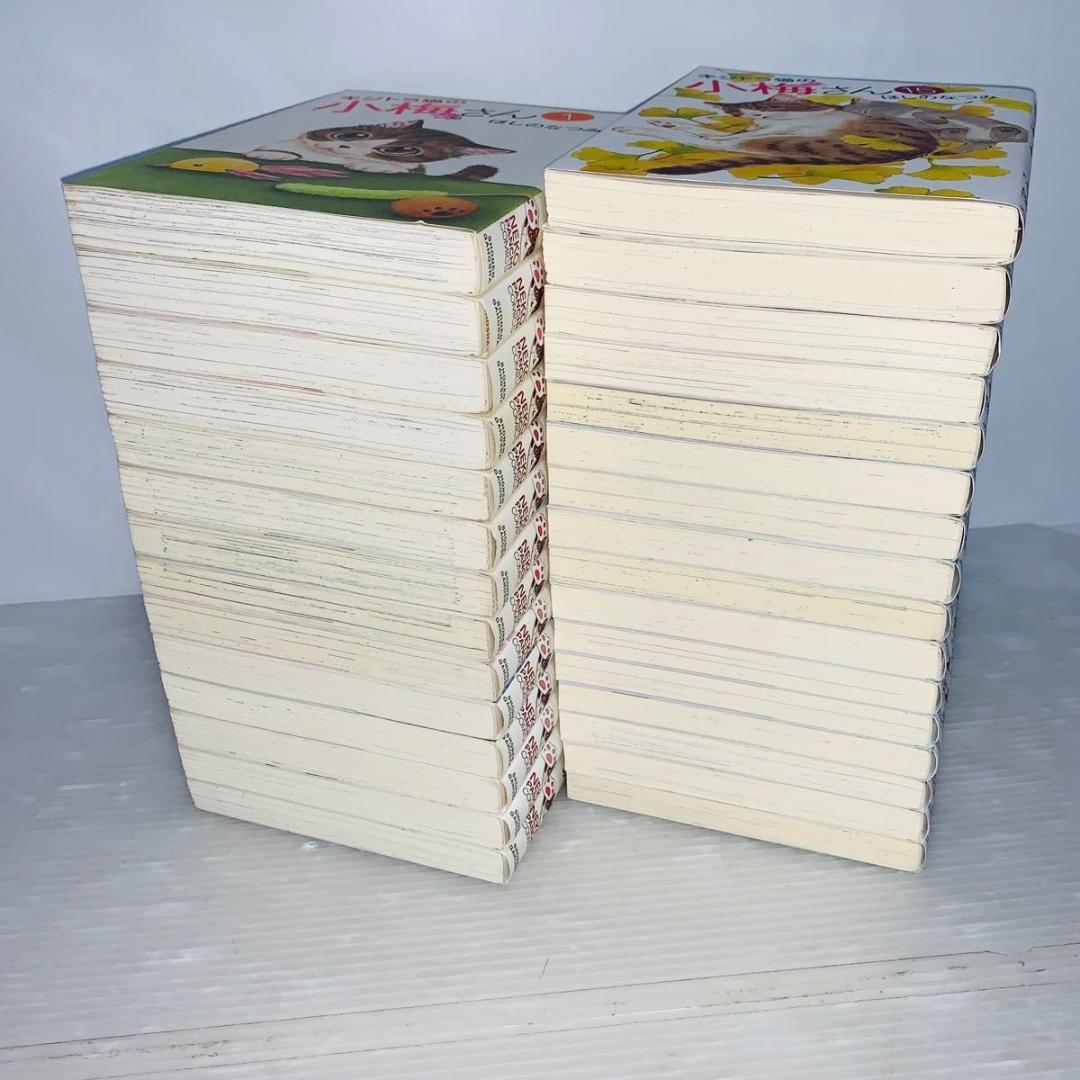 キジトラ猫の小梅さん 全巻セット 1-27巻+3冊