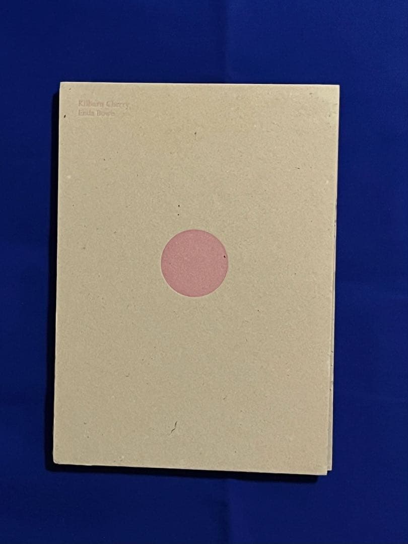写真集 Steichen ・Lucie & Simon 他7冊セット