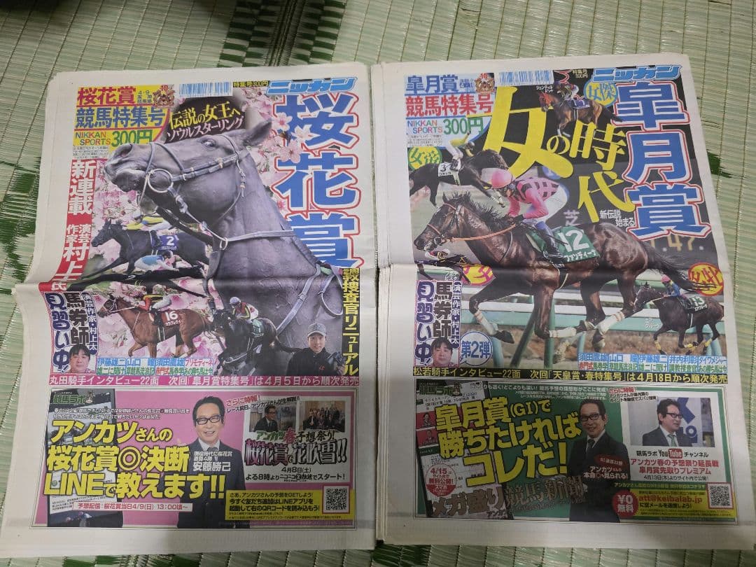 日刊スポーツ競馬新聞特集号2017