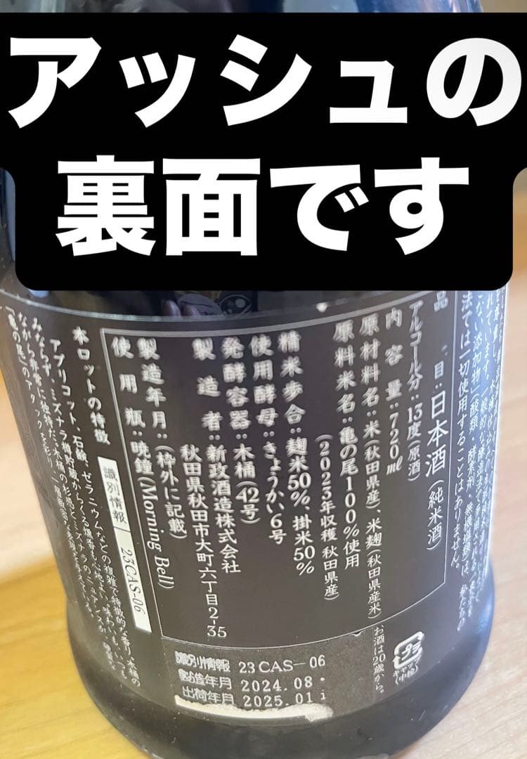 新政　水墨アッシュ　十四代而今