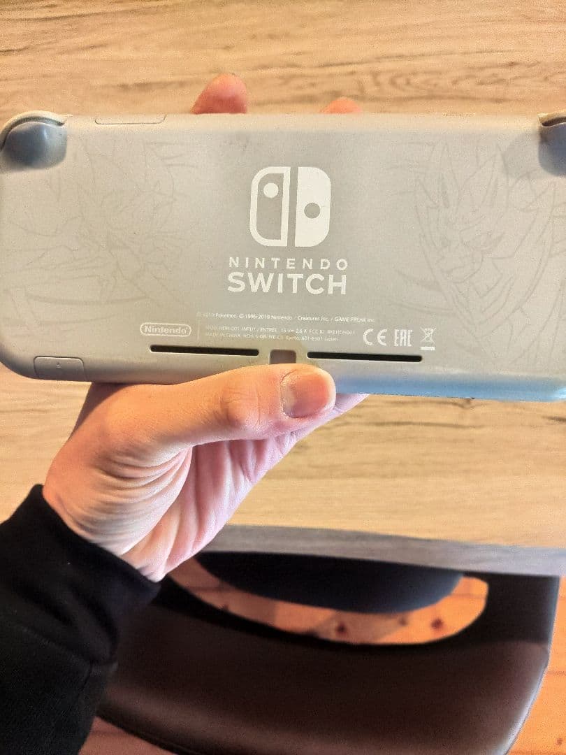 Nintendo Switch Lite グレー ポケモンデザイン　ケースつき