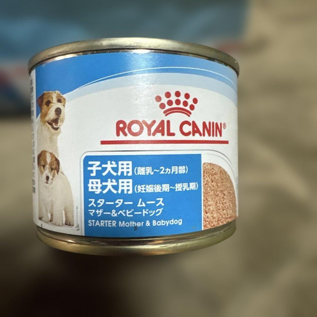 ロイヤルカナン ミニ インドア パピー 4kg