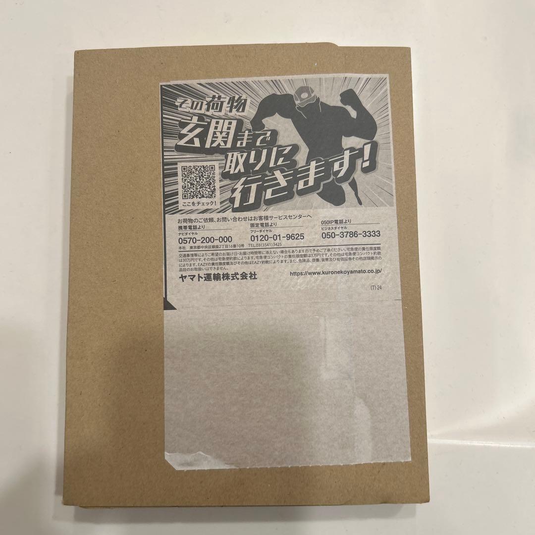 BADHOP解散ライブDVD 未開封