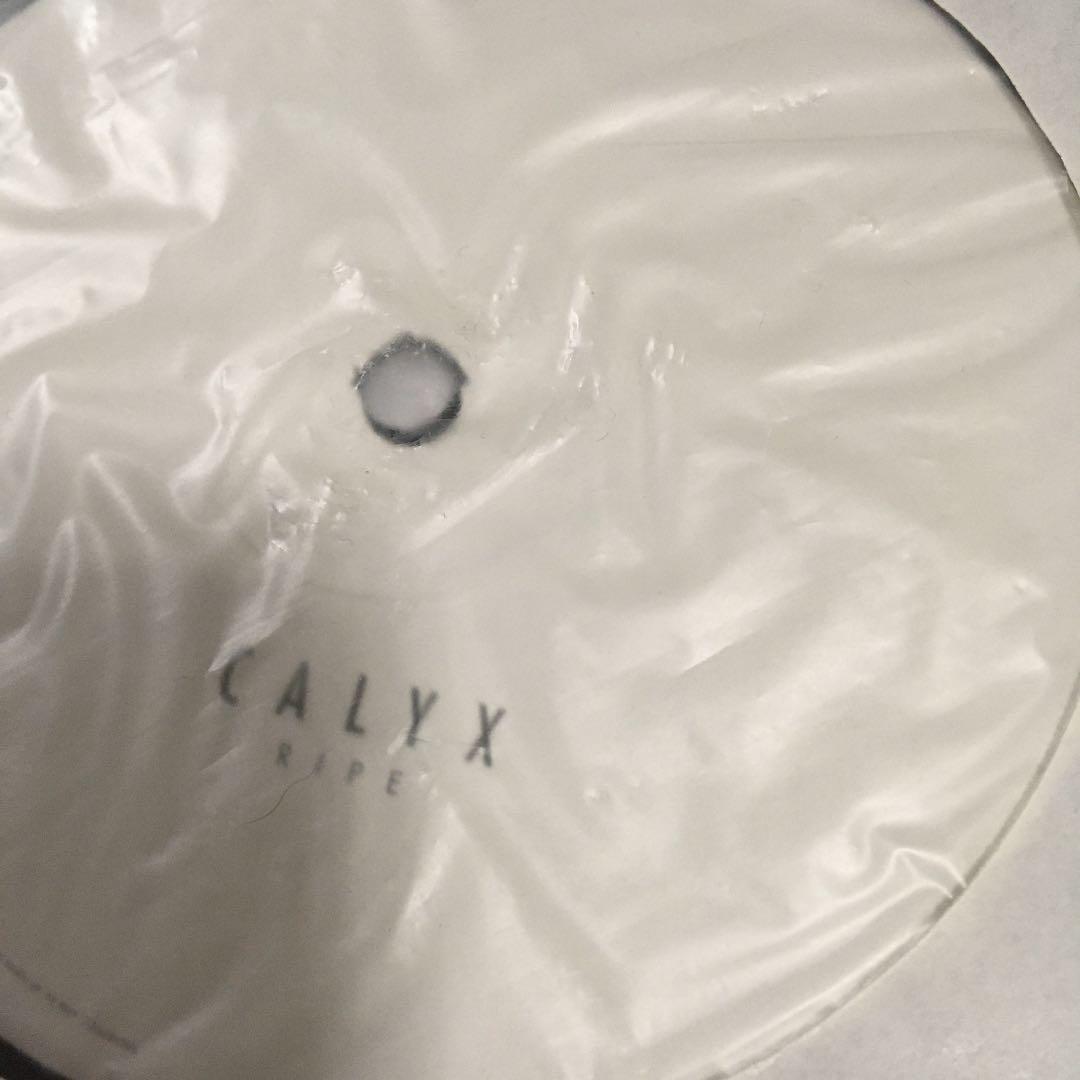CALYX / DOWNPOUR 12インチx2