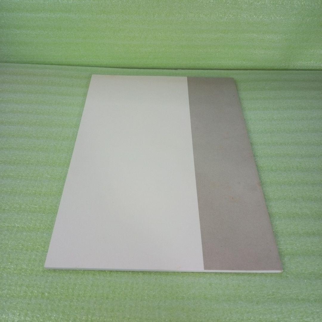 Gustavo ISOE　磯江 毅　1994-2004　図録　②　彩鳳堂画廊