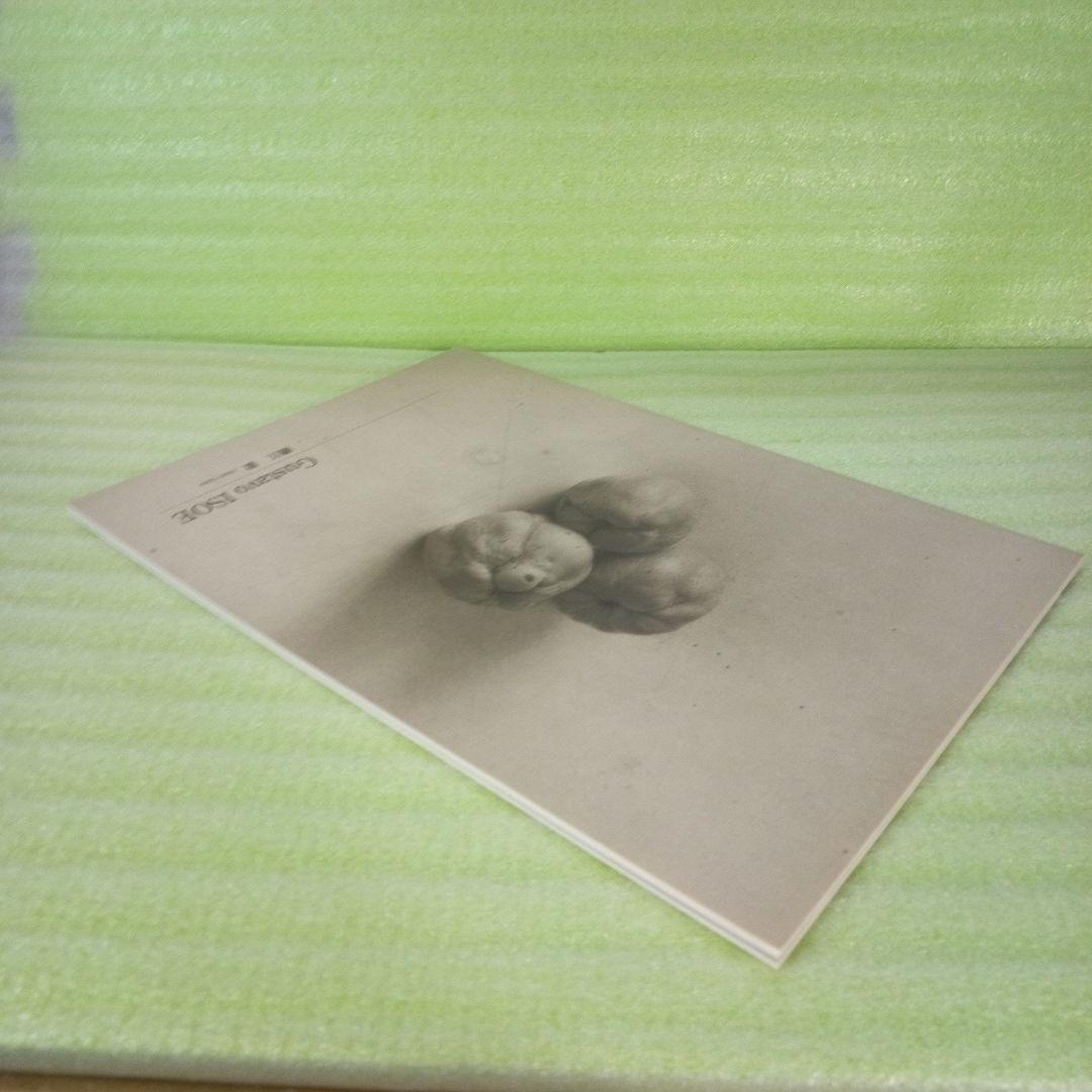 Gustavo ISOE　磯江 毅　1994-2004　図録　②　彩鳳堂画廊